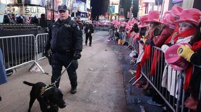 Ein Polizist sorgt mit seinem Hund für Ordnung auf dem Times Square in New York. Foto: Jason Szenes