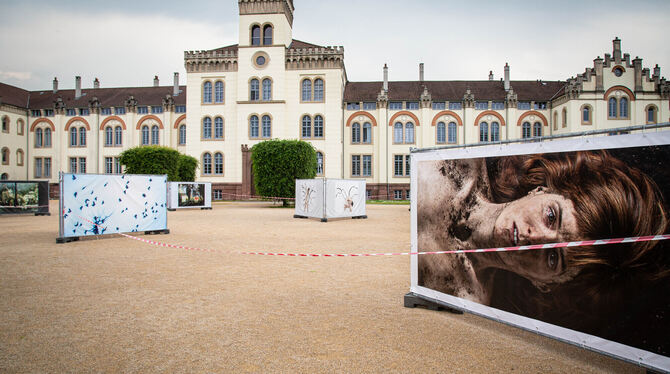 Ausstellung Künstlerin Kathleen Quigley in Tübingen