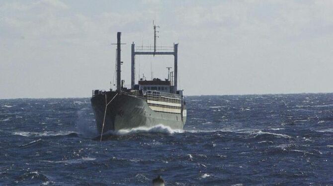 Es scheint ein Riesengeschäft ohne Risiko für die Schlepper zu sein. Sie gehen noch auf offenem Meer von Bord und überlassen