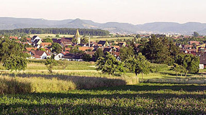 Die &raquo;wunderschöne Aussichtslage Walddorfs&laquo;: Heute wird beim Neujahrsempfang der Gemeinde ein Festbuch zum 800-Jahr-J