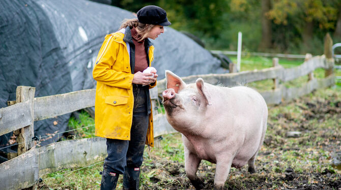 Landwirtin Maren Osterbuhr geht mit dem ehemaligen Mastschwein Rosalie über eine Weide auf ihrem Hof.