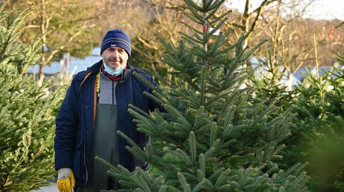 Der Deutschen liebster Christbaum: Johan Covaliu zeigt eine Nordmann-Tanne.