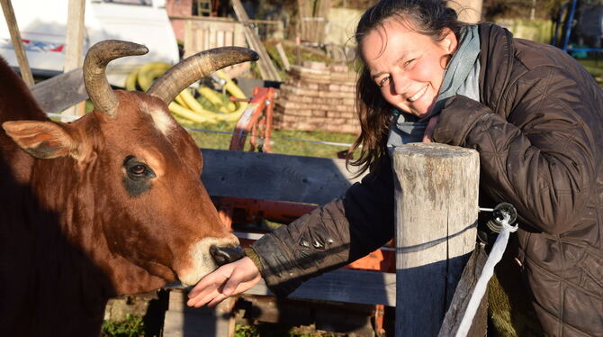 Die Zebus des Gomaringer Kinderbauernhofes vermissen im Winter ihre Weide. Hier tröstet sie Conny Schäfer. FOTOS: WALDERICH