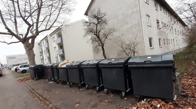 Umgeben von Müll: das Haus Max-Planck-Straße 16/18 (rechts), das nun saniert werden soll. Links davon das bereits teilsanierte G