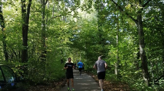 Teilnehmer des Projekts »ImPuls« beim Laufen, dem zentralen Sport des Projekts. »ImPuls«-Mitarbeiter Thomas Studnitz (links) läu