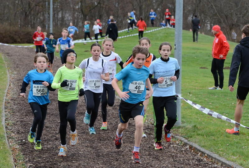 Alb-Gold Winterlaufcup Reutlingen 10. Januar 2015