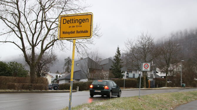 Die Gebäude in der Buchhalde-Siedlung sind energetisch in die Jahre gekommen, dem Gemeinderat wurde ein entsprechendes Energieko