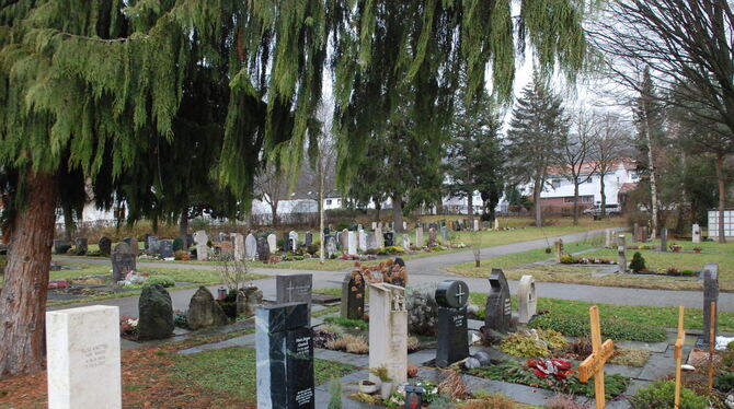 Die symmetrische Strenge auf dem Neuhäuser Friedhof könnten Bänke auflockern.