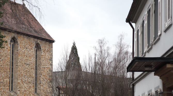 Ein ungewohnter Anblick: Die Schwarzkiefer, die neben der Klosterkirche am Eingang zum Klostergarten stand, ist inzwischen gefäl