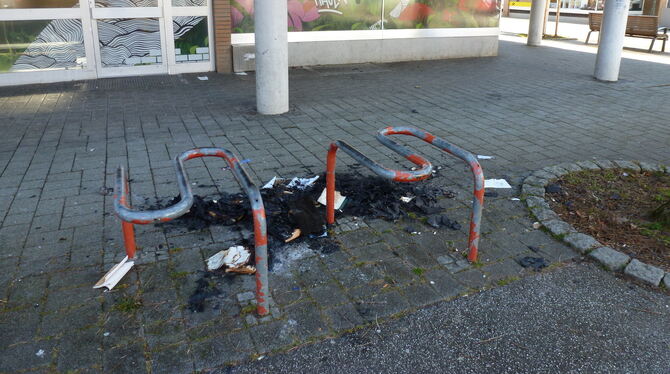 Verbrannte Bücher auf dem Dresdner Platz.