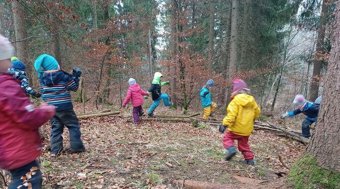 Spielen und toben im Wald: Die Kindergartenkinder (hier in Ohnastetten) nutzen das begeistert aus. FOTOS: DEWALD