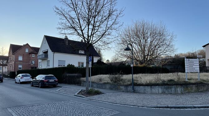 Für dieses Areal im Ortskern ab der Wiese wird ein neuer Bebauungsplan aufgestellt. Es soll baurechtlich ein urbanes Gebiet werd