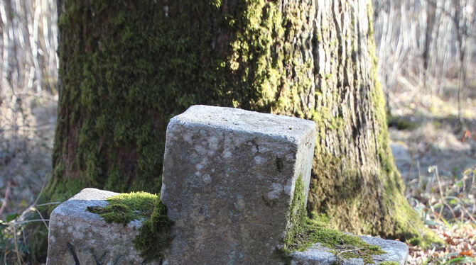 Der Gedenkstein im Wald bei Bebenhausen: Er erinnert an das Verbrechen an dem 15-jährigen Forstlehrling Wilhelm Pfeiffer.