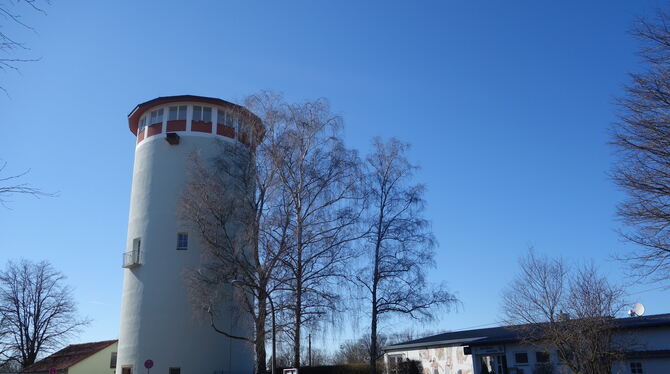 Drei Birken am Sportzentrum sollen gefällt werden, um dort einen Biergarten zu errichten.   FOTO: STRAUB