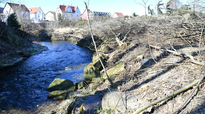 Büsche und Bäume wurden abgeholzt, um mit der naturnahen Umgestaltung der Echaz unterhalb des Baisch’schen Geländes und der Sani