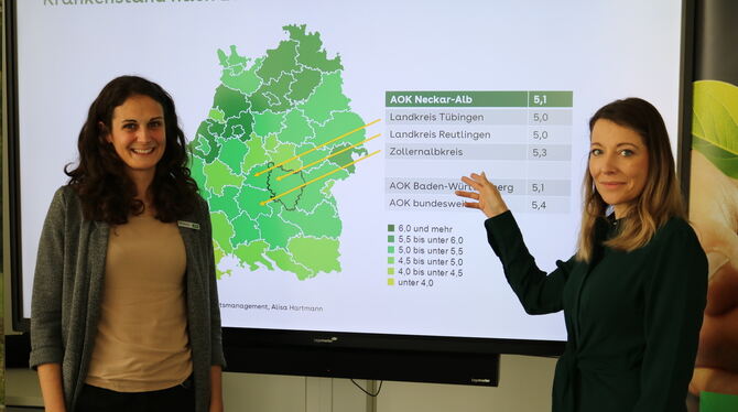 In der Region Neckar-Alb liegen die Landkreise Reutlingen und Tübingen beim Krankenstand leicht unter dem Landesdurchschnitt. Al