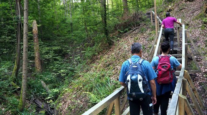 Premiumwanderwege wie hier die Firstwaldrunde zwischen Mössingen und Nehren ziehen Besucher an.  FOTO: STADT MÖSSINGEN