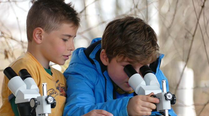 Zwei Schüler der Pfrondorfer Grundschule sind auf Entdeckungstour beim Tübinger Ökomobil.