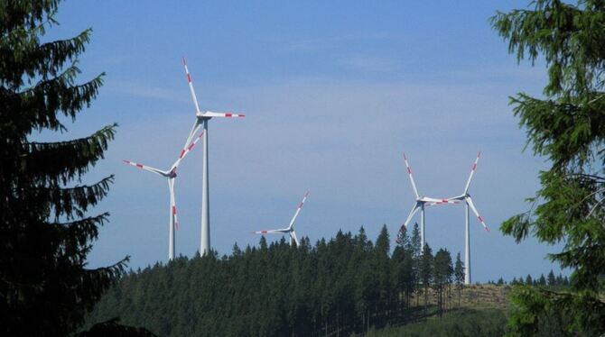 So ähnlich wie hier im Rothaargebirge könnte es auf dem Hochfleck möglicherweise aussehen, sollte der Windpark verwirklicht werd