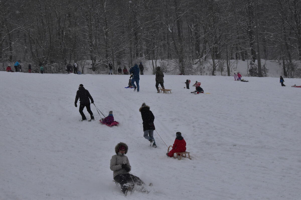 Winterfreuden in Salmendingen FOTO MEYER_0202