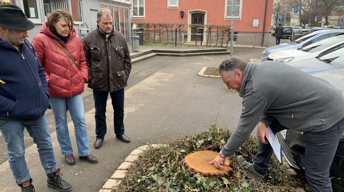 Dieser Baum hätte laut Ulrich Walter (rechts) nicht gefällt werden müssen: AKO-Mitglieder mit dem Baumexperten beim  Vor-Ort-Te