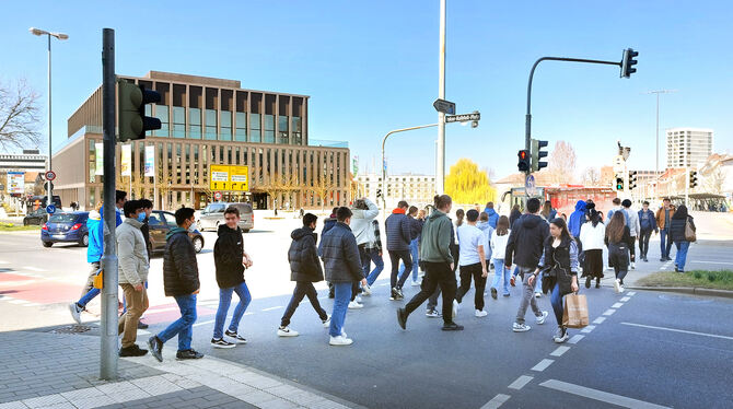 Massenphänomen: Bei Rot über die Ampel am Kalbfell-Platz.