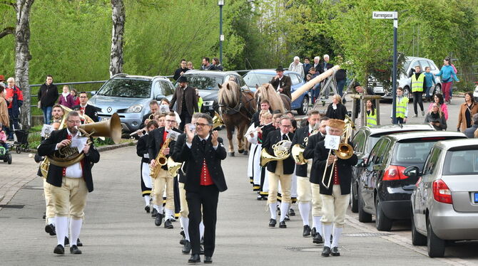 Maibaumtransport durch die Mössinger Falltorstraße mit stimmungsvoller Unterstützung des Musikvereins.  FOTO: MEYER