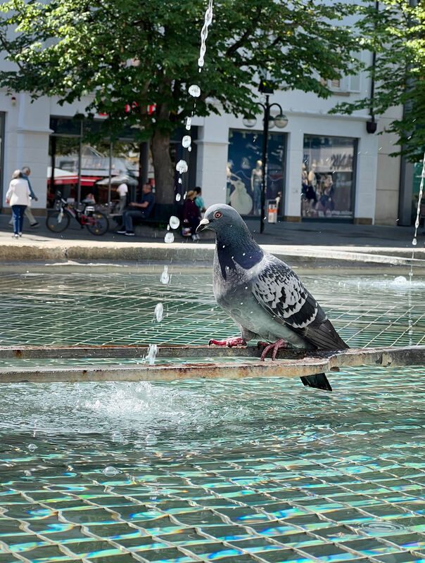 marktplatz_7