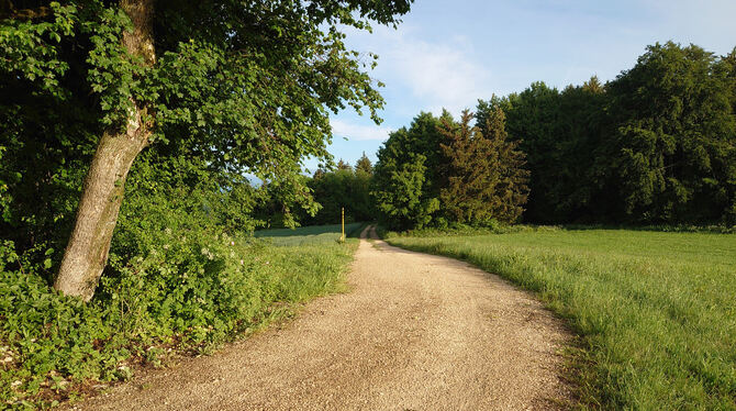 Ein Stück Feldweg von Böttingen in Richtung Magolsheim gibt es schon. Die darauf folgende Lücke durch einen Radwegneubau auf der