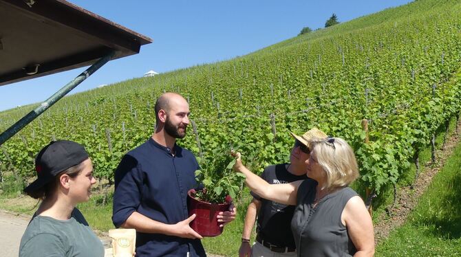 Josua Erhart (Zweiter von links) bot Quinoa, das Inka-Gold von der Alb, an.