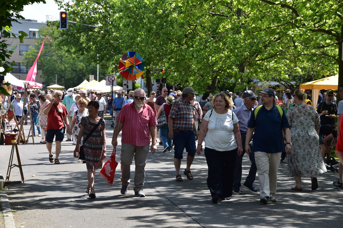 Rosenmarkt (54)