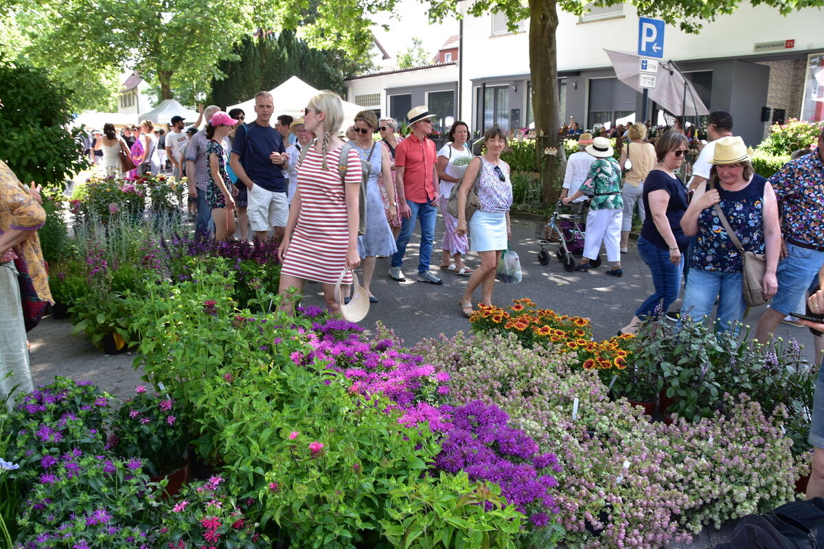 Rosenmarkt (62)