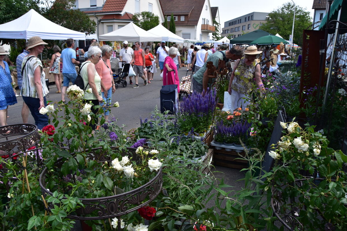 Rosenmarkt (67)