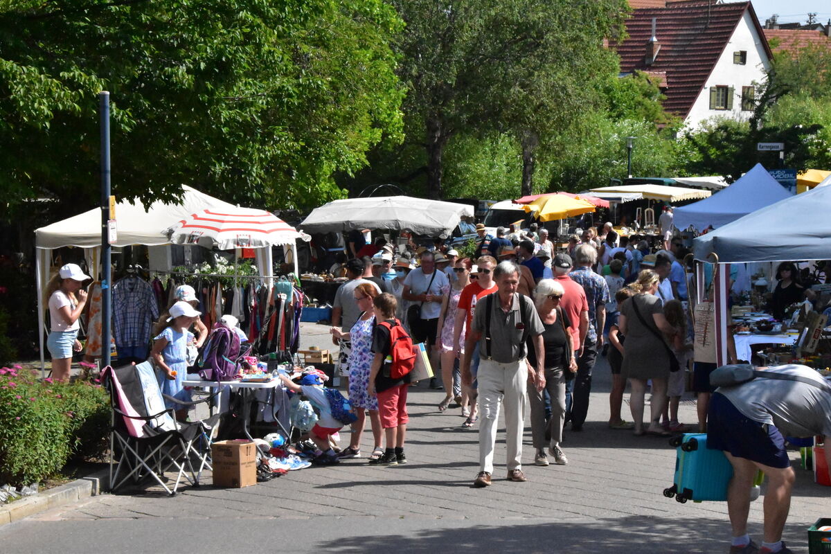 Rosenmarkt (6)