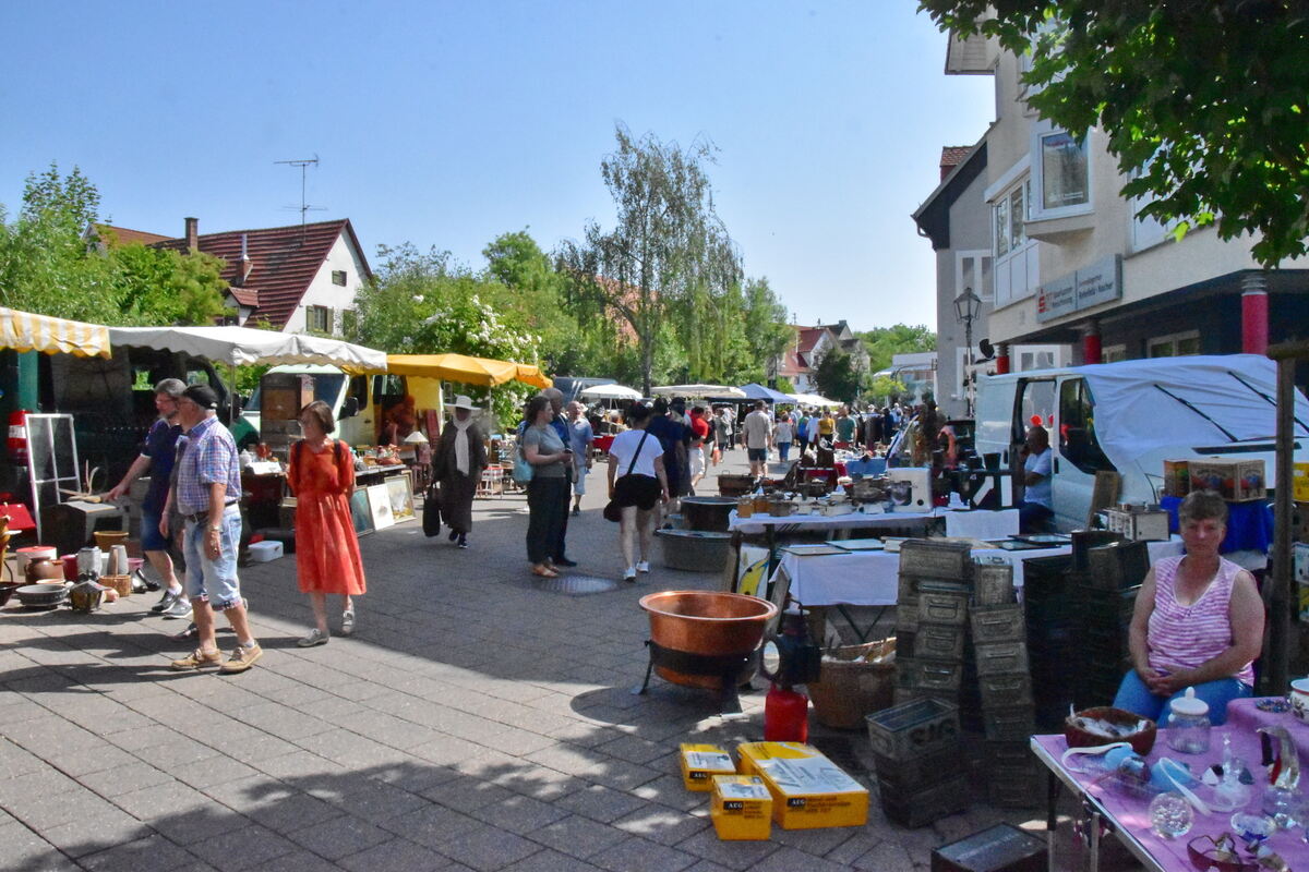 Rosenmarkt (7)