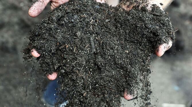 Heimischer Garten wird teures Vergnügen