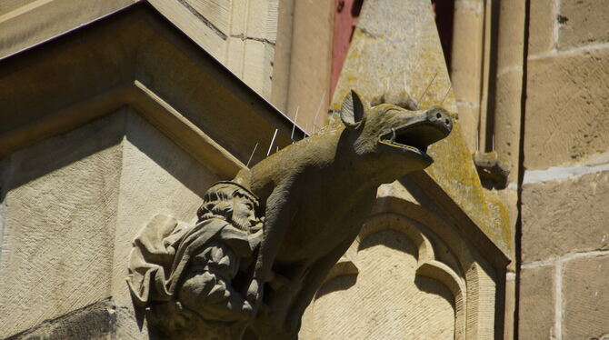 Antisemitischer Wasserspeier an der Ritterstiftskirche in Bad Wimpfen.  FOTOS: ZIMMERMANN