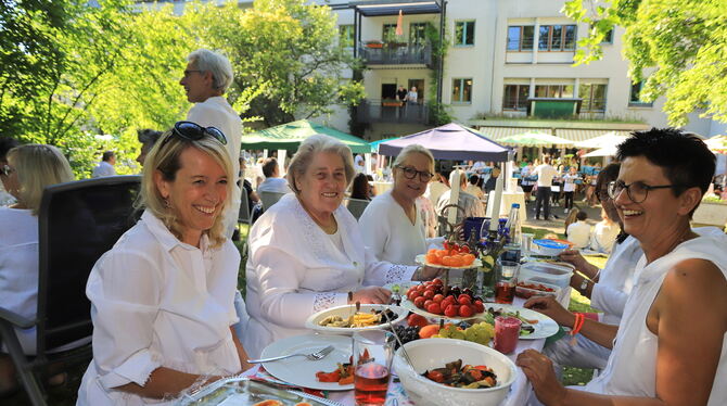 Die Gäste beim White Dinner im Laiblinspark tischten auf und vergaßen für einen Moment den derzeit nicht immer einfachen Alltag