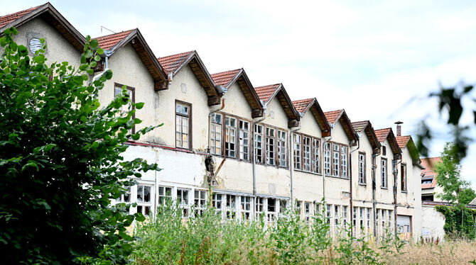 Zeit für Neues: Im nächsten Jahr ist Baubeginn fürs Egelhaafareal. FOTO: PIETH