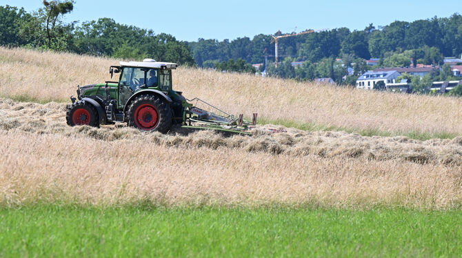 Ackerflächen sind nicht nur auf der Alb begehrt und teuer.  FOTO: WEISSBROD/DPA