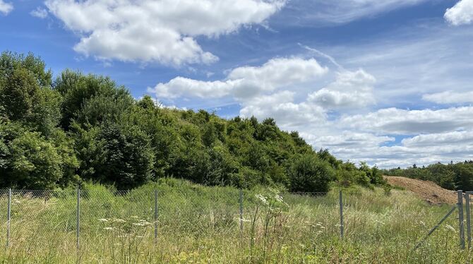 Renaturierte Teilfflächen der Deponie müssen offiziell stillgelegt werden.  FOTO: STADT