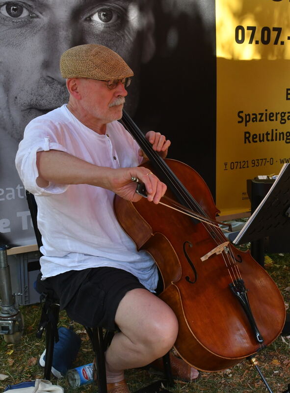 7 cello foto meyer_8453