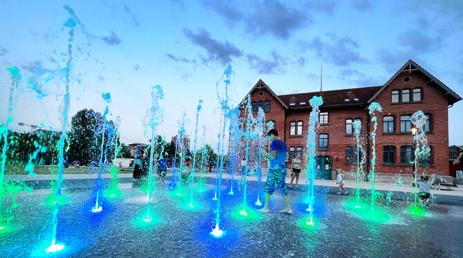 Willkommene Abkühlung in der erhitzten Stadt: die Wasserspiele im Bürgerpark.  FOTO: PIETH