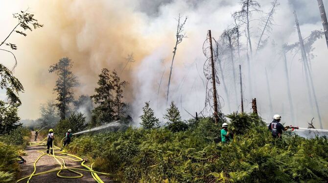 Waldbrand