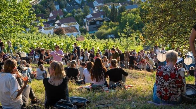 Gelöste Stimmung an einem herrlichen Sommerabend: Hunderte Besucher bevölkern den Metzinger Weinberg beim Herlishäusle.  FOTOS: