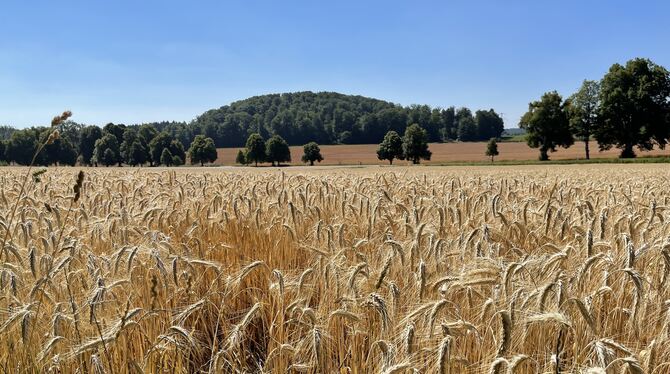 … und güldene Ausblicke.