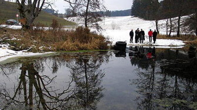 Nur die Reifen, Überbleibsel eines Fahrturniers, stören noch. Sonst aber ist der renaturierte Wolfgangsee ein Idyll.
GEA-FOTO: DEW