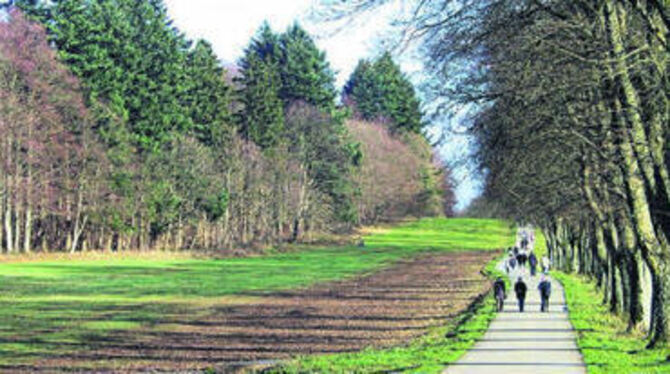 Viel reizvolle Landschaft bringt St. Johann ins geplante Biosphärengebiet ein. Jetzt beginnt der Suchlauf nach geeigneten Flächen für die Kernzone.
GEA-ARCHIV-FOTO: BRÄU