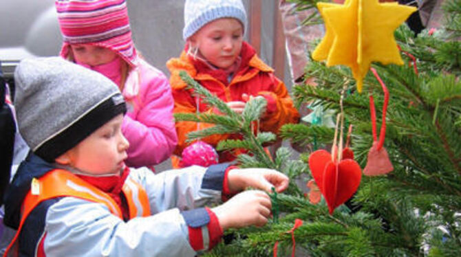 Schmucke Bäume: Kindergartenkinder legten sich mächtig ins Zeug.
FOTO: PR