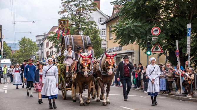 Eindrücke vom  Volksfestumzug in Bad Cannstatt.